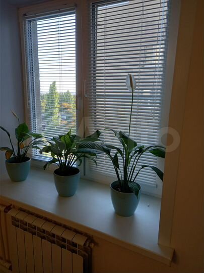 3-к. квартира, 71 м², 9/11 эт.