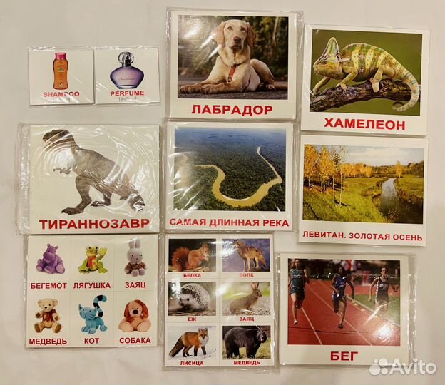 Вундеркинд с пеленок