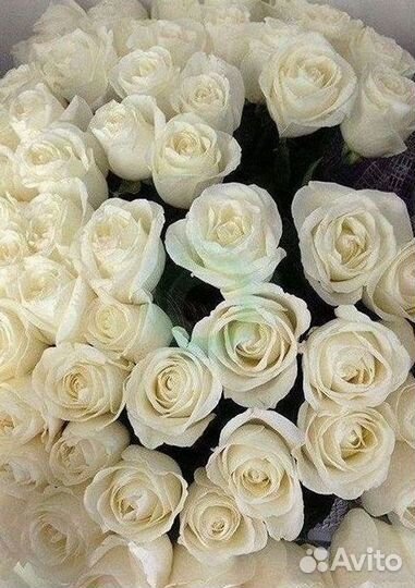 Высокие розы, букеты, цветы Доставка Доставка