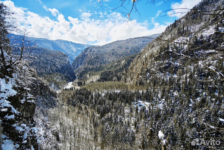 Тур в Абхазию, Сочи и Краснодар из Нижнекамска