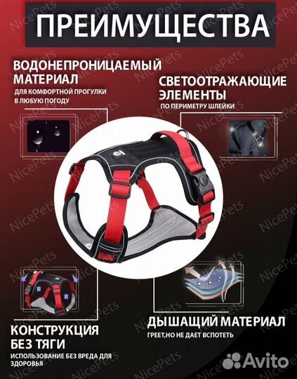 Шлейка для собаки