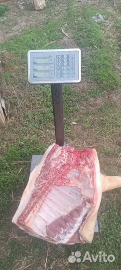 Мясо свинина домашняя