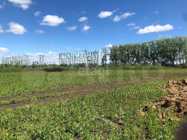 Участок 79,9 сот. (ИЖС)