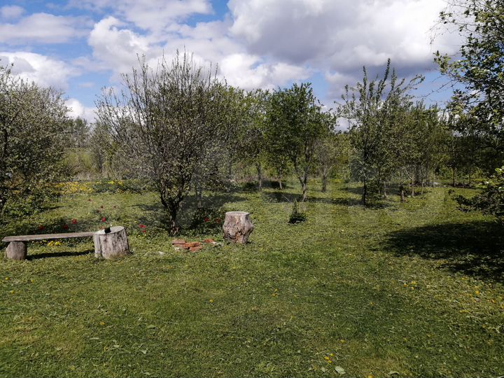 Дом 56 м² на участке 31 сот.