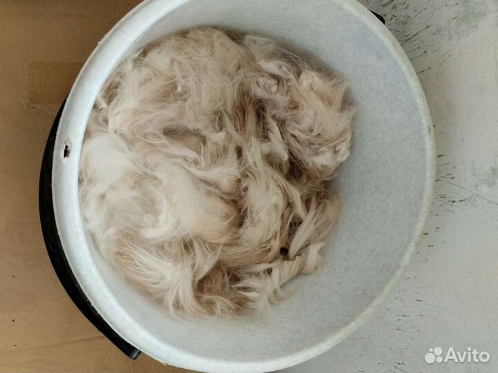 Кошачья шерсть