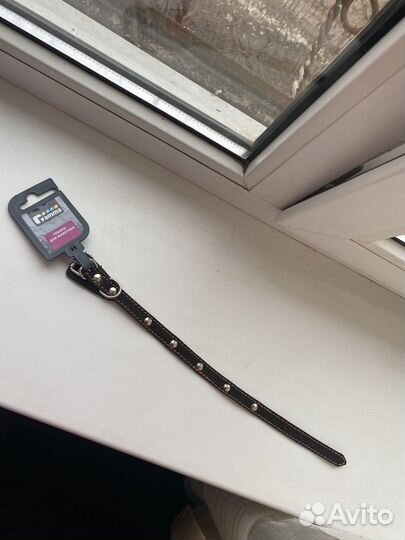 Ошейник кожа для мелких собак кошек