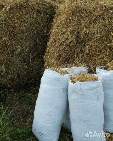 Солома в мешках
