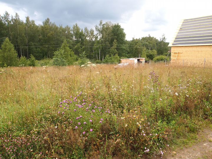 Участок 8,5 сот. (СНТ, ДНП)