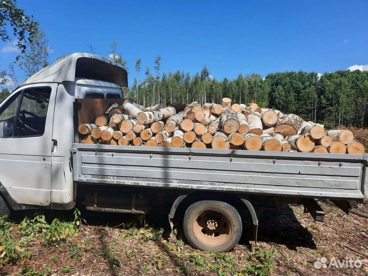 Дрова берёзовые колотые