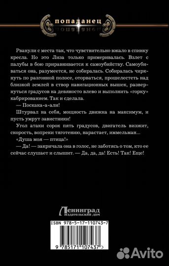 Небесный капитан