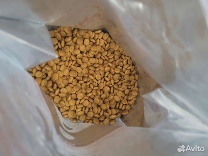 Сухой корм для кошек роял канин