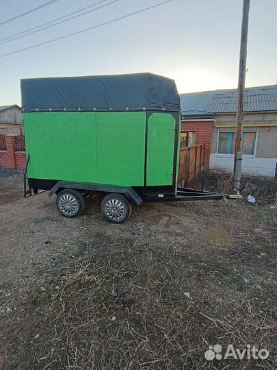 Скотовоз перевозка скота