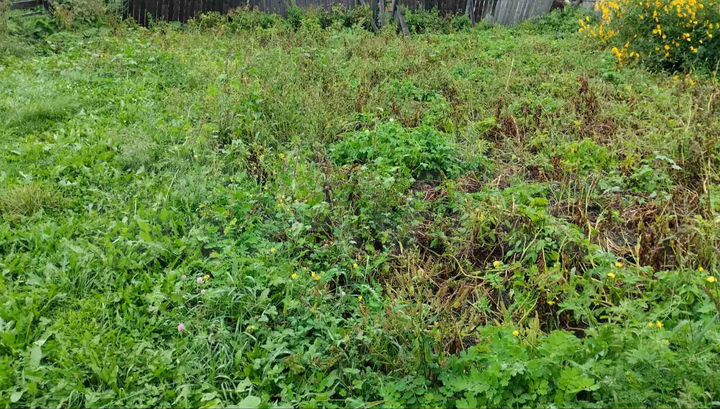 Участок 11 сот. (ИЖС)