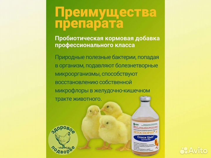 Кормовые добавки для домашней пиццы