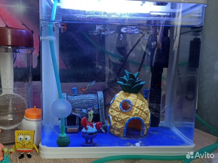 Аквариум + рыбки гуппи