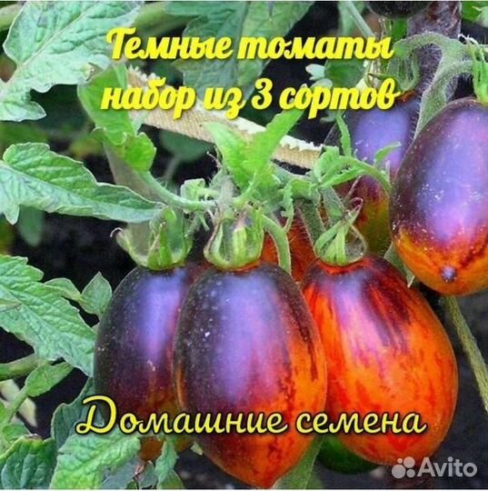 Семена коллекционных сортов томатов