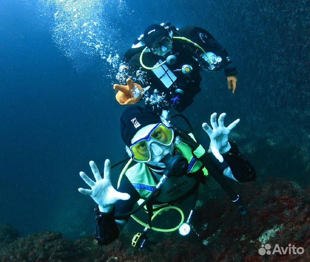 Дайвинг. Погружение с аквалангом. Экскурсии