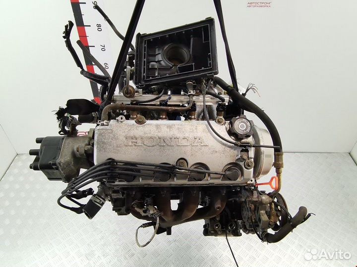 Двигатель (двс) для Honda Civic 6 D14Z2