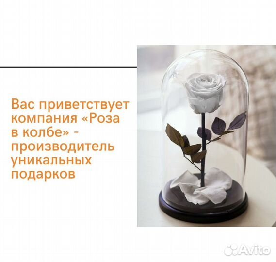 Роза в колбе вечная