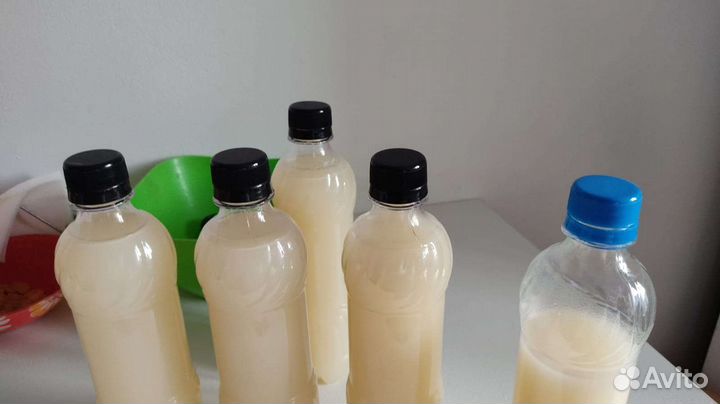 Барсучий жир с Алтая