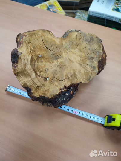 Кап сувель березовый 20 на 15 см