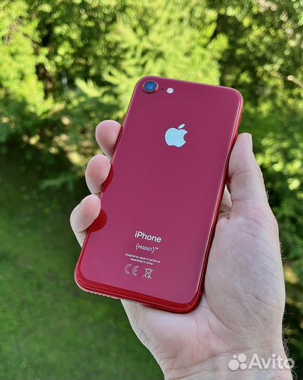 iPhone 8 64gb Red