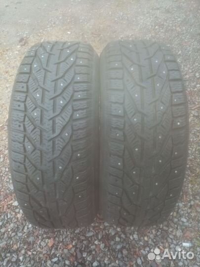 Tigar Ice 205/55 R16
