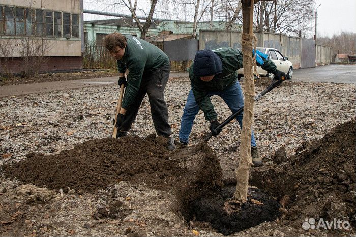 Землекопы ручная копка земли Уборка территории