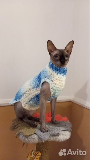 Кофточки вязаные для кошек-ручная работа