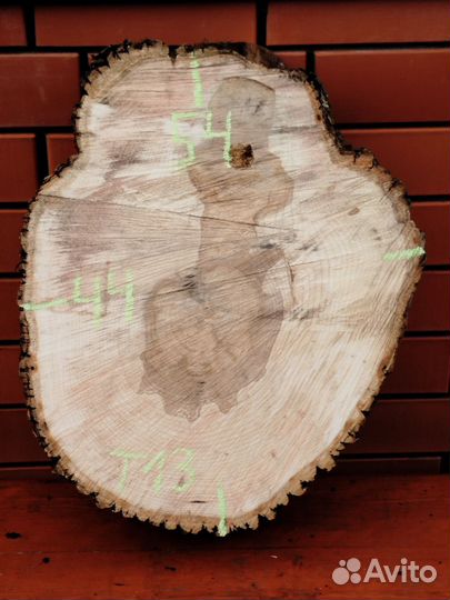 Ясень сухие спилы дерева