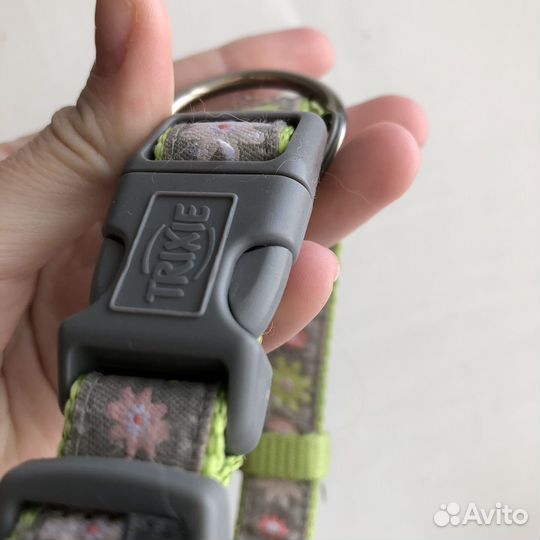 Амуниция для собак