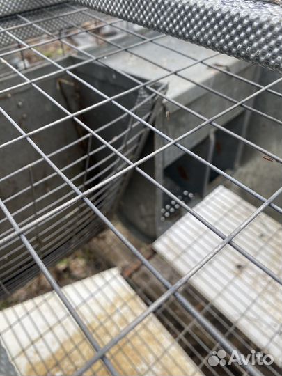 Клетки для кроликов с маточниками