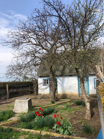 Дом 51,8 м² на участке 21 сот.