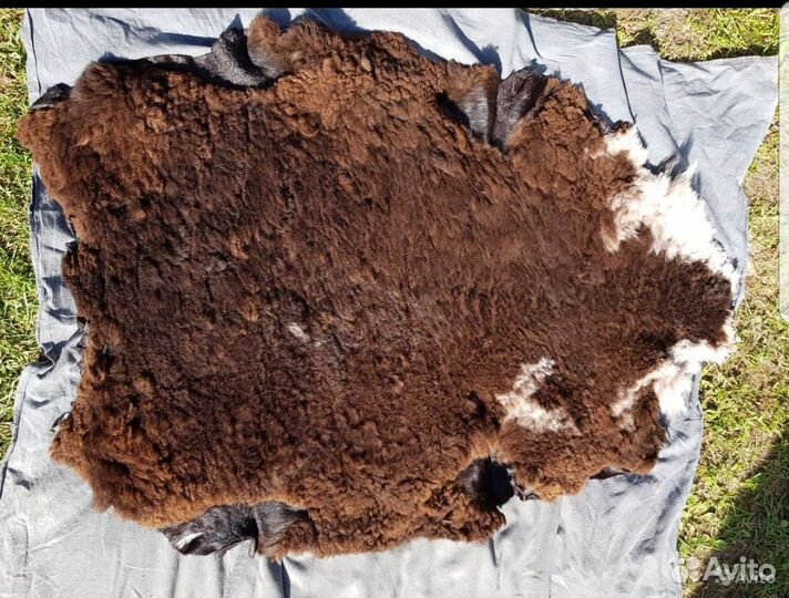 Шкуры овчины