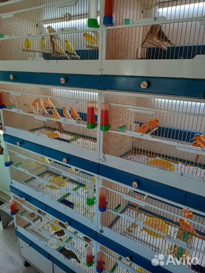 Изготовление клеток для птиц