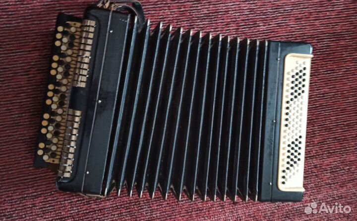 Баян тульский