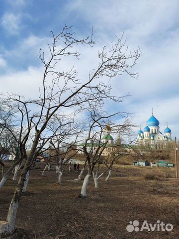 Обрезка плодовых деревьев