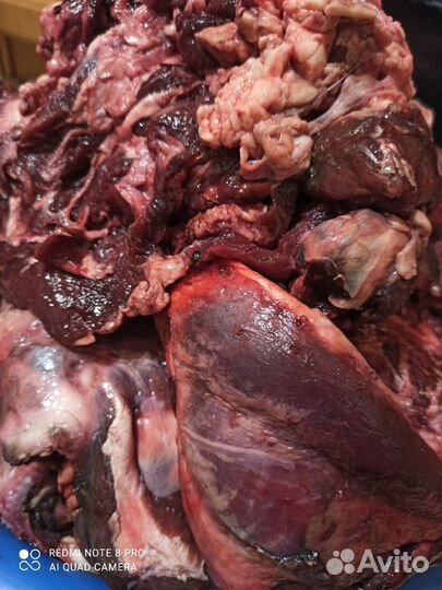 Субпродукты и мясо для собак