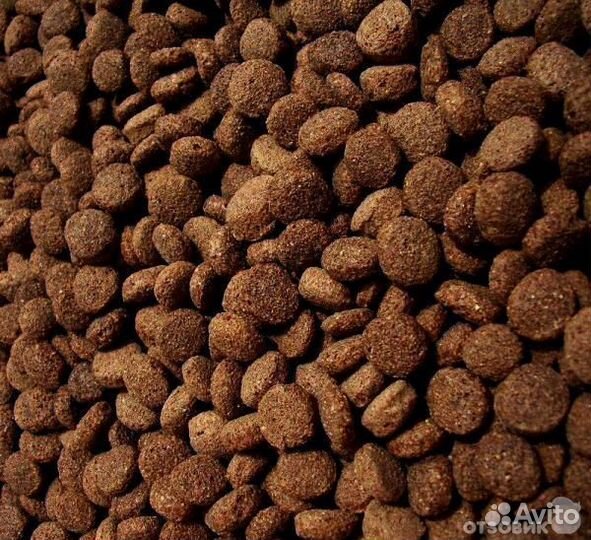 Сухой корм для собак