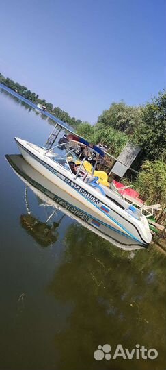 Прогулки на быстроходном катере