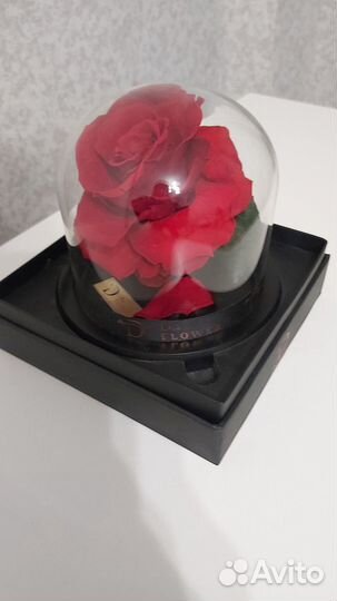Роза в колбе будет радовать 5 лет Пр-во Дубай