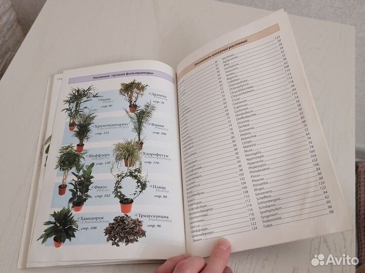 Книга Всё о комнатных растениях, очищающих воздух