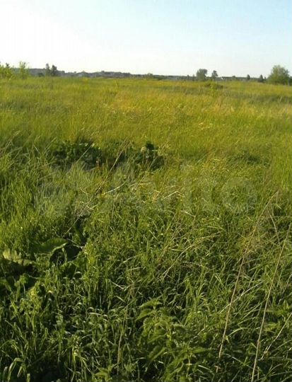 Участок 12 сот. (ИЖС)