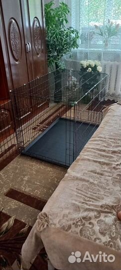Клетка для собак