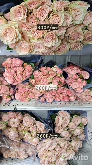 Кустовые пионовидные розы букет