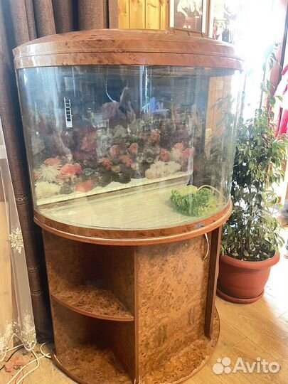 Аквариум с тумбой Джебо