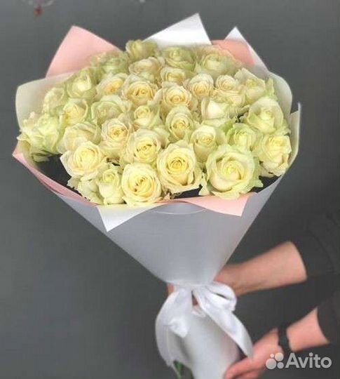 75 белых роз в оформлении