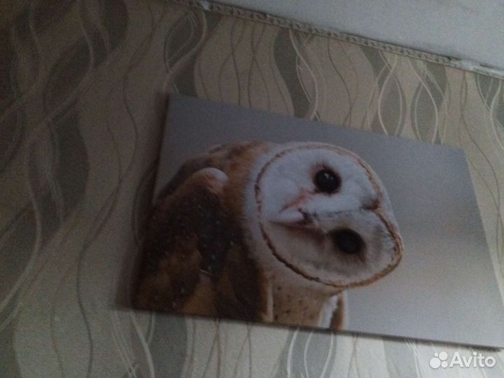 Картина на холсте