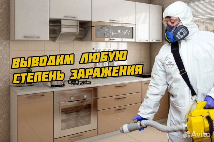 Дезинсекция