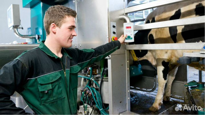 Оператор животноводческих комплексов